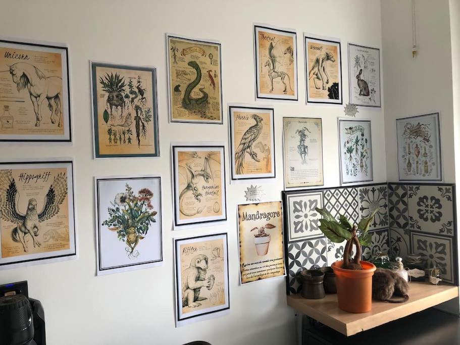 Maison Harry Potter Pour 6 Personnes En Centre Apartment Montauban