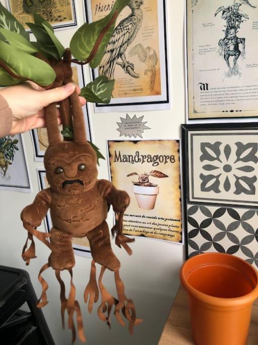 Apartment Maison Harry Potter Pour 6 Personnes En Centre